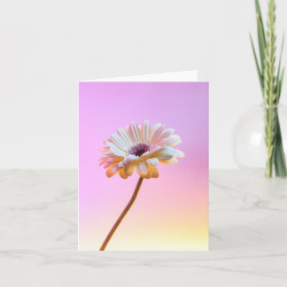 White Gerbera Daisy Greeting Card