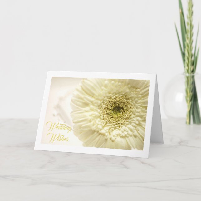 White Gerbera Daisy Greeting Card (Front)