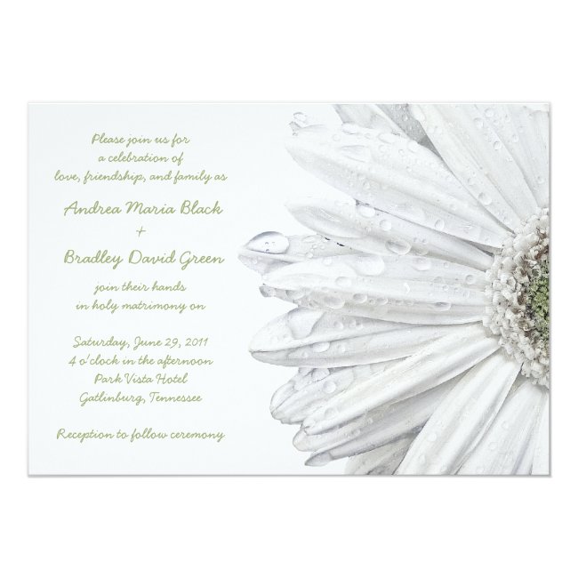 White Gerbera Daisy Wedding Invitation