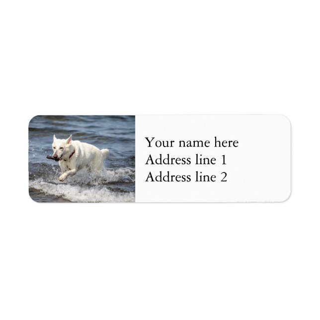 White German Shepard on Lake George Label (Front)