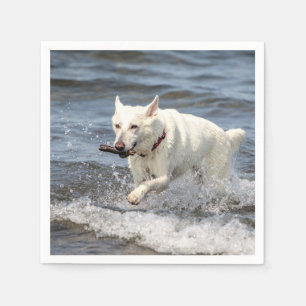 White German Shepard on Lake George Paper Napkins
