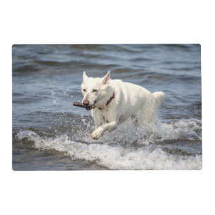 White German Shepard on Lake George Placemat