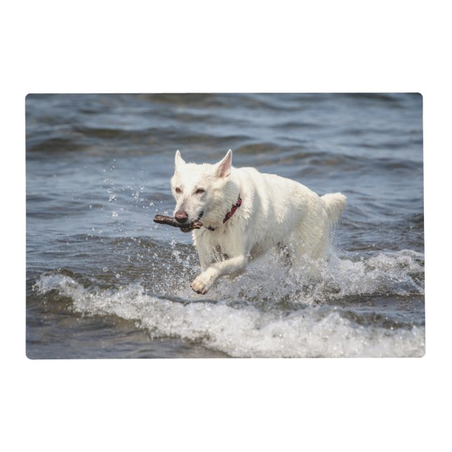 White German Shepard on Lake George Placemat (Front)