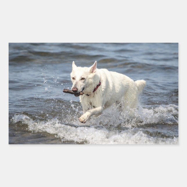 White German Shepard on Lake George Rectangular Sticker (Front)