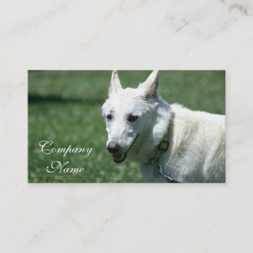 White German Shepherd business cards