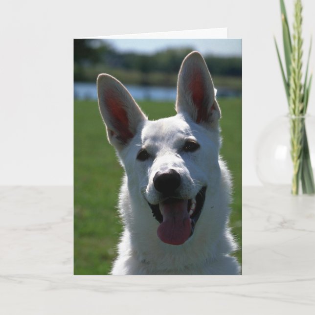 White German Shepherd Card (Front)