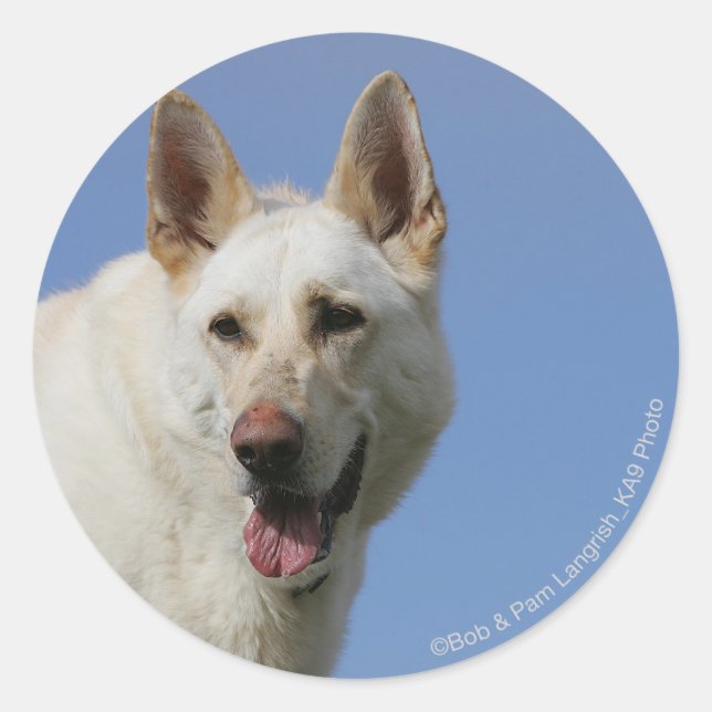White German Shepherd Classic Round Sticker (Front)