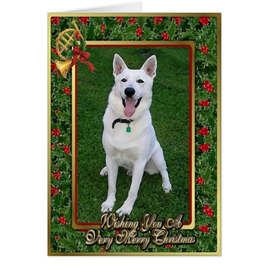 White German Shepherd Dog Blank Christmas Card | Zazzle.com