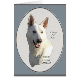 White German Shepherd Gifts Cards