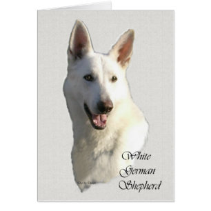 White German Shepherd Gifts Cards