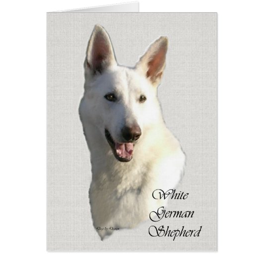 White German Shepherd Gifts Cards (Front)