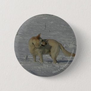 White German Shepherd  in the Snow Button