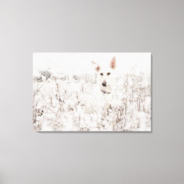 White German Shepherd in the Snow Canvas Print (Front)