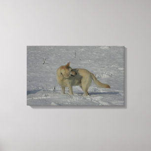 White German Shepherd in the Snow Canvas Print