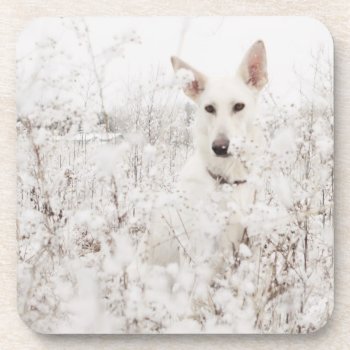 White German Shepherd In The Snow Coaster by PaintingPony at Zazzle
