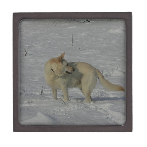 White German Shepherd  in the Snow Keepsake Box