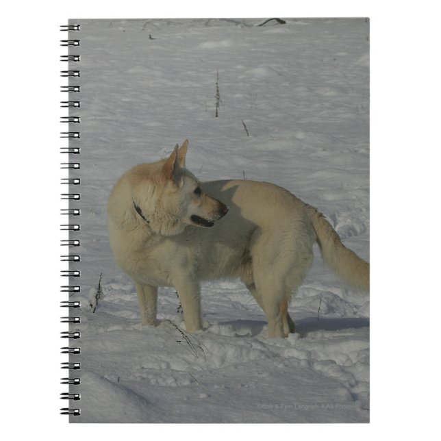 White German Shepherd  in the Snow Notebook (Front)