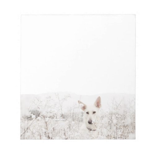 White German Shepherd in the Snow Notepad