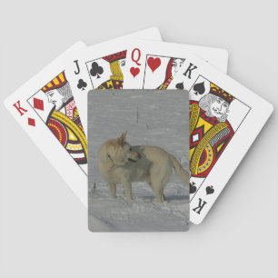 White German Shepherd in the Snow Poker Cards