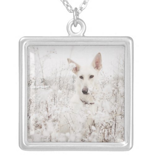 White German Shepherd in the Snow Silver Plated Necklace