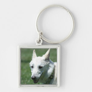 White German Shepherd Keychain