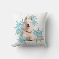 White German Shepherd laying in the Snowflakes