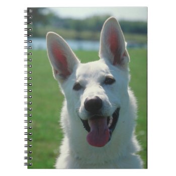 White German Shepherd Notebook by walkandbark at Zazzle