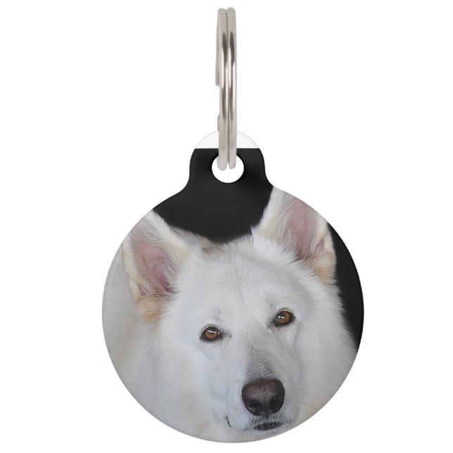 White German Shepherd Pet ID Tag (Front)