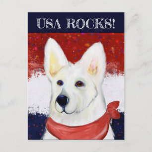 White German Shepherd Postcard