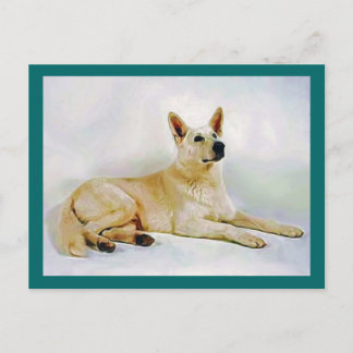 White German Shepherd Postcard