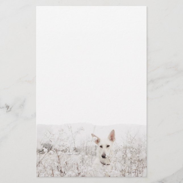 White German Shepherd Stationery (Front)