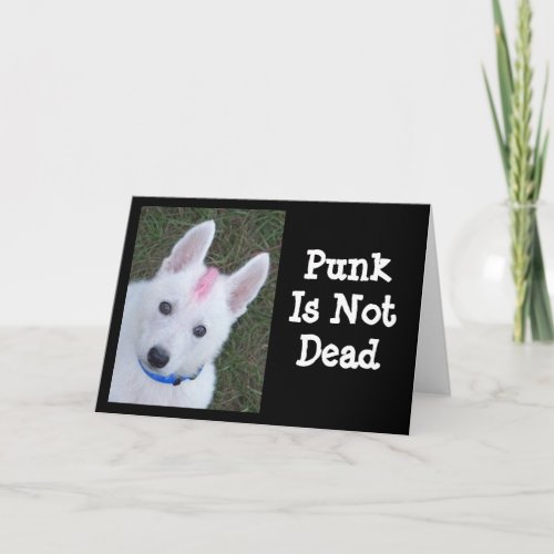 White German Shepherd w Mohawk Card