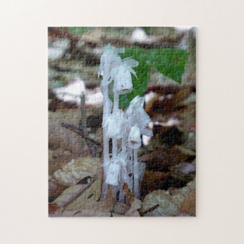 White Ghost Plant Jigsaw Puzzle
