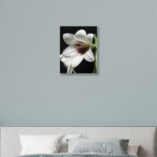 White Giant Himalayan Lily Floral Foam Core Photo Tile