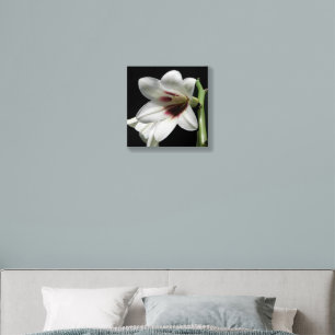 White Giant Himalayan Lily Floral Foam Core Photo Tile