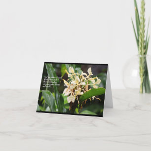 White ginger scripture card