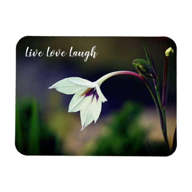 White Gladiolus Garden Flower Motivational Magnet (Horizontal)