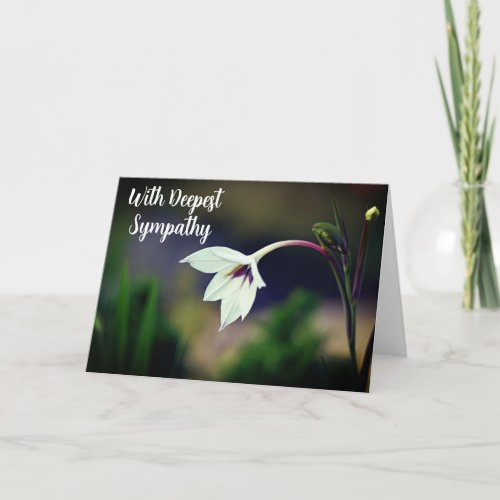 White Gladiolus Garden Flower W Deepest Sympathy Card