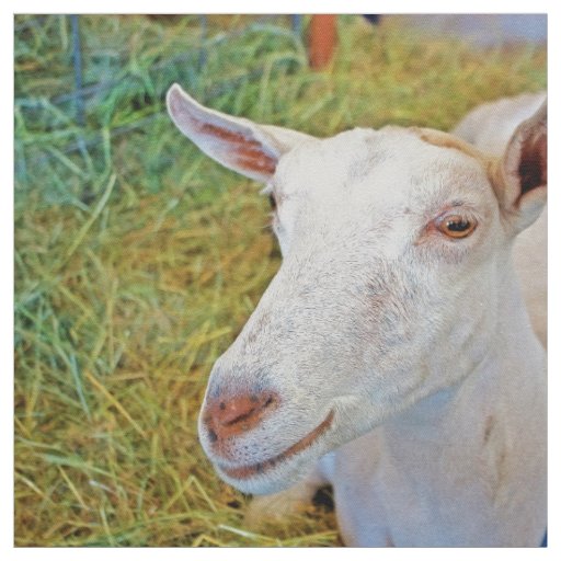 White Goat Fabric