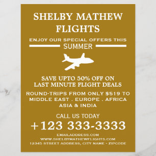 White & Gold Plane Icon, Airline Advertising Flyer