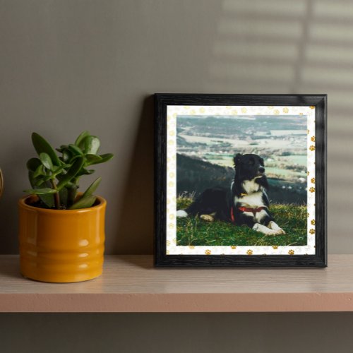 White Golden Paw Prints Dog Photo