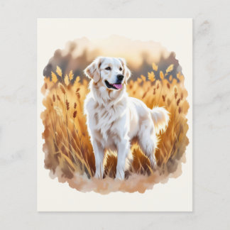 White Golden Retriever Dog