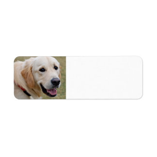 White Golden Retriever Label