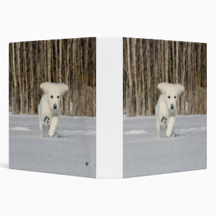 White Golden Retriever Puppy in Snow 3 Ring Binder