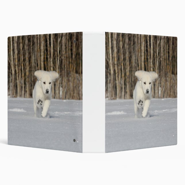White Golden Retriever Puppy in Snow 3 Ring Binder (Background)