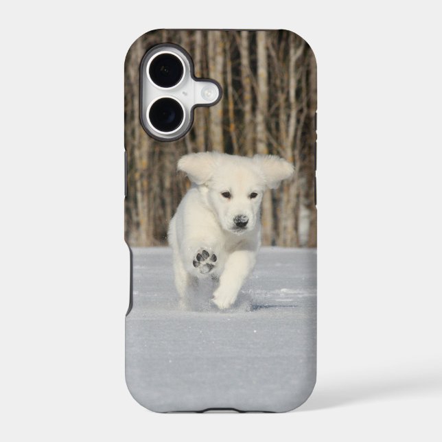 White Golden Retriever Puppy in Snow Case-Mate iPhone Case (Back)