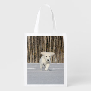 White Golden Retriever Puppy in Snow Grocery Bag