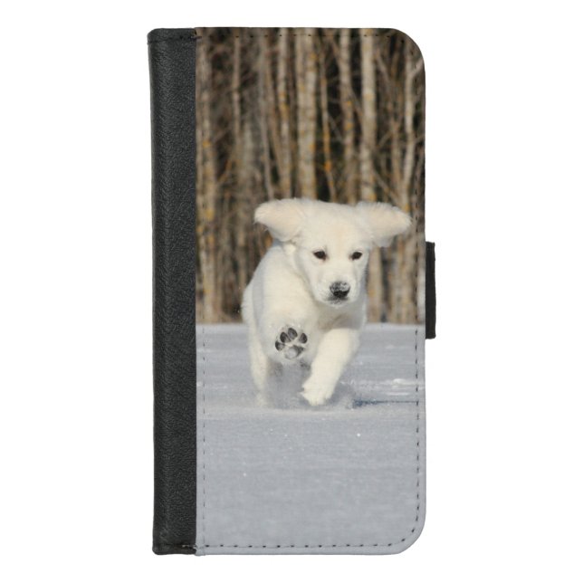 White Golden Retriever Puppy in Snow iPhone Wallet Case (Front)