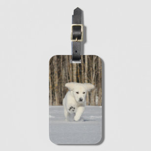 White Golden Retriever Puppy in Snow Luggage Tag