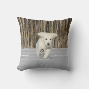 White Golden Retriever Puppy in Snow Throw Pillow